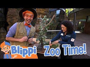 Blippi's Awesome San Diego Zoo Adventure | Blippi | Kids Show | Toddler Learning Cartoons