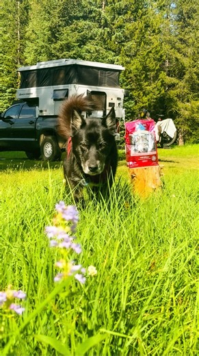 384K views · 7.2K reactions | 4 years of so many shared adventures...