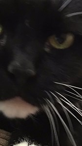 4 comments | Chords and scales and stuff!!! £ £ £ #guitarlesson #guitarlessons #guitar #guitarsdaily #musician #musicians #blues #bluesguitar #blueslesson #fingerpicking #Music #Musician #Guitarist #funny #lifelesson #Guru #Silly #Philosophy #Crazy #smile #laugh #guitarists #acousticguitar #chords | Messiahsez | Facebook