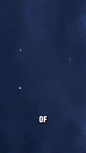 766K views · 14K reactions | UAP Footage from the UFO Documentary The Beings from Beyond. Credit to MountainBeastMysteries on YouTube. UFO Awareness. #UFO #UAP #footage #aliens | UAP Repository | Facebook