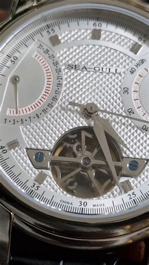 Sea-Gull 2021 Automatic Mechanical Watch Calender- D819.626