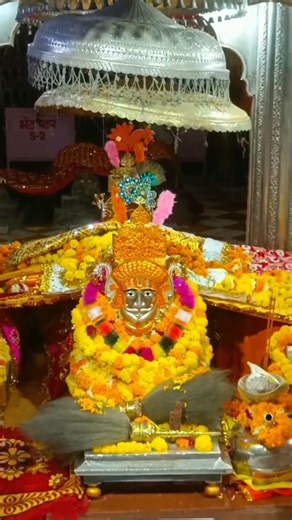 बाबा रामदेवजी की संध्या कालीन आरती दर्शन।🙏