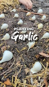 4.8K views · 153 reactions | If you live in Texas it's time to get...