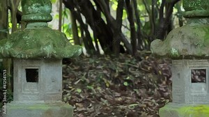 Stone lanterns on shrine grounds, traditional Japanese culture and religion