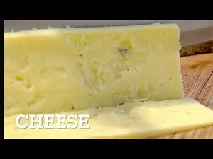 Cheese sandwich in 5 minutes . Easy and quick recipe by food corner