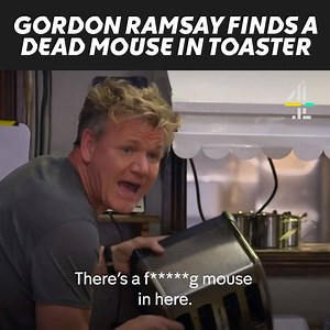 384K views · 190 reactions | Mmm toasted mouse. How tasty. | Channel 4 Homes | Facebook