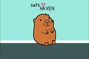 saveHaven