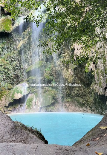 A hidden paradise in Cebu, Philippines! 📍 Tumalog Falls, Oslob, Cebu Province #tumalogfalls #waterfall #nature #philippines #traveltiktok