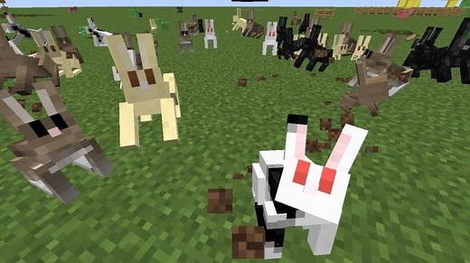 Where do rabbits spawn in Minecraft?