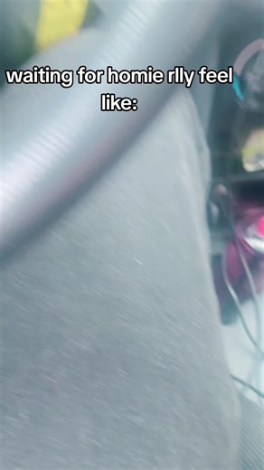 O ▼・ᴥ・▼ (@lionellesson)’s videos with Trailer Park Boys - Main Theme - Geek Music