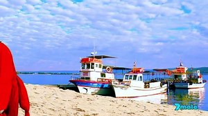 More Aussie shows than you can poke a stick of dynamite at, coming in 2019 to 7mate! | https://www.7plus.com.au/live-tv | 7mate