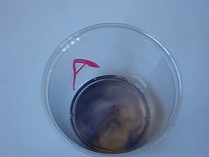 Briggs Rauscher Oscillating Reaction | Science Project