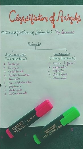 Classification of animals