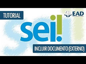 SEI | Include external document