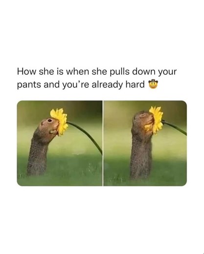 41 reactions | Yeah baby, that's all I needed  | Grown adults acting like fools | Facebook