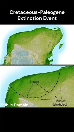 Cretaceous-Paleogene Extinction Event