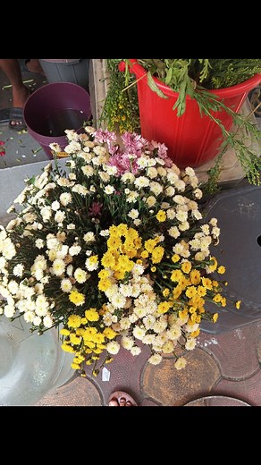 Ankus Nandan on Reels