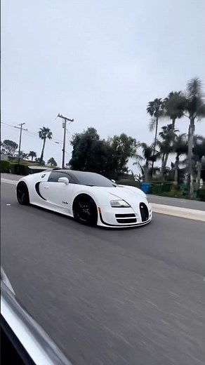 Inside the Ultimate Supercar Collection: Luxury at Its Finest