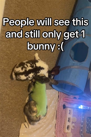 Why Two Bunnies Are Better Than One