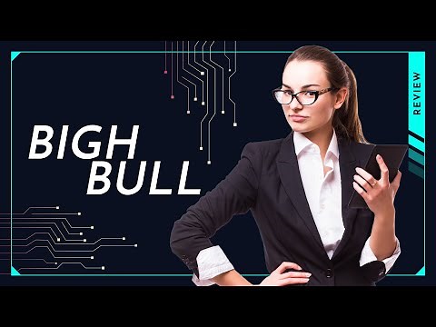 Bigh Bull - project review