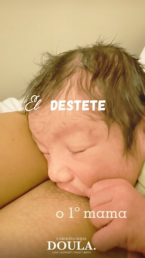 El destete 🥹♥️ Destetar no es solo un cambio físico, es un proceso emocional profundo. Es despedirse de un vínculo único, de esas miradas que hablaban en silencio, de las manitos que buscaban el pecho con confianza, de las madrugadas en las que el mundo desaparecía y solo existían ustedes dos. Es un duelo y una celebración al mismo tiempo. Un duelo porque algo sagrado termina, porque duele soltar lo que fue tan nuestro. Pero también es una celebración, porque significa crecimiento, independenci