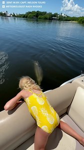 “He’s saying hi” - A young girl recently got a visit from a friendly wild dolphin near Pine Island, Florida. 🐬🚤 Video sent in by: Capt. Nelson Tours | Meteorologist Nash Rhodes