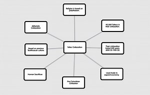 Development and Interactions of Cultures