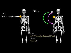 The Muscle Control Formula Eccentric