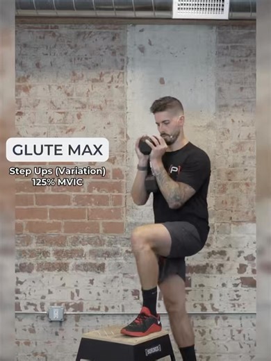 [P]rehab®️ on Instagram: "Clinicians! Comment HEP for 7 day free access to the Prehab Exercise Library. The above exercises have been identified to have the most MVIC% (maximum isometric voluntary contraction) of each of the three glute muscles. Meaning that, the higher the MVIC%, the more work that particular glute muscle is doing. If you’ve been doing just clam variations, it’s time to add in glute exercises we know are going to lead to a rounder 🍑. Clams can play a role but there are some ve
