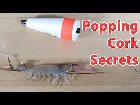 How To Rig A Shrimp Under A Popping Cork Like A Pro