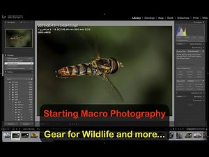 5 Great Macro Photography Tips for Beginners