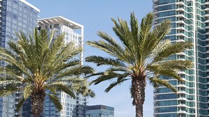 Metropolis urban skyline, downtown of San Diego city, California, USA. Highrise skyscrapers facade in financial district. Contemporary architecture, futuristic modern high business towers in America.