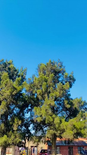 mbali enhle on TikTok