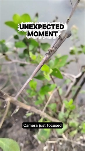 An Unexpected Moment While Recording #shorts