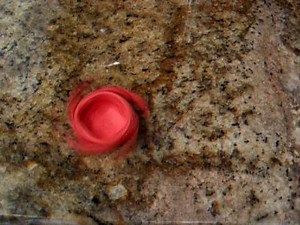 'Self-Winding' Flashing Spinning Origami 1 - Square Flasher-Spinner