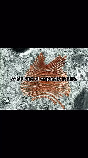 Get an AP Biology Exam 5 with This Study Guide!