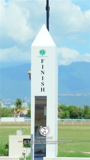 Caymanas Park Racing | Horse Racing Track on Instagram: "Live racing is back this weekend at Caymanas Park! 🏇 The track comes alive once again with the two remaining “Win and You’re In” races for the 2025 Mouttet Mile, The Jamaica Cup & The Port Royal Sprint AND a slate of other exciting trophy events that promise top-class competition and unforgettable moments. Must be 18 years and older to participate in any Betting, Gaming and Lottery activity. #CaymanasPark #MouttetMile #WinAndYoureIn #Live