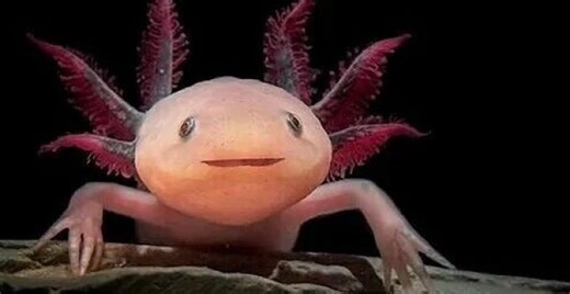 重磅分析 | Cell期刊2023-2025靶标发现研究TOP10_腾讯新闻