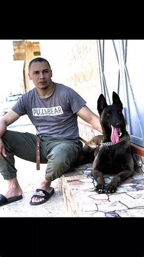 Vidéos de 🇩🇿ALGERIANO🇩🇿 (@algerieno67) avec âm thanh gốc - Bình Dương City