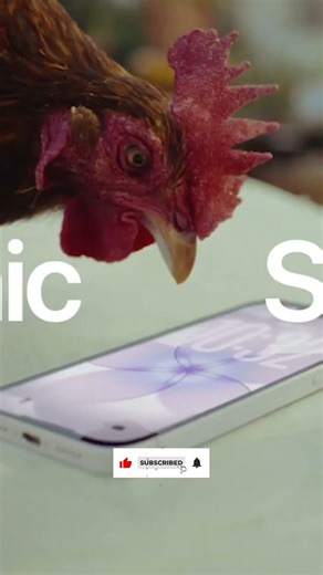 Apple iPhone 17 vs. iPhone 17e