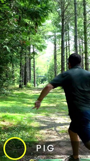 Don’t Be Afraid to Disc Down