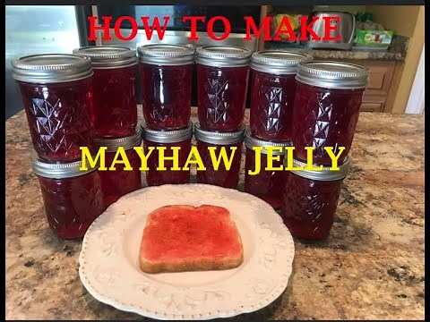 How To Make Mayhaw Jelly