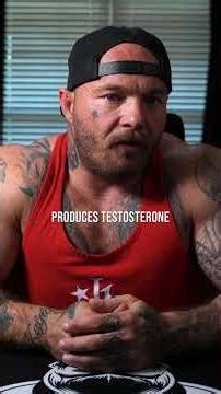 How Zinc and Boron Actually Work in Your Testosterone Pathway