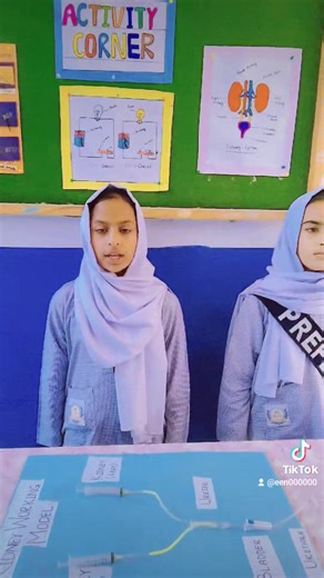 16 reactions · 8 comments |  Exploring Science with Creativity! |...