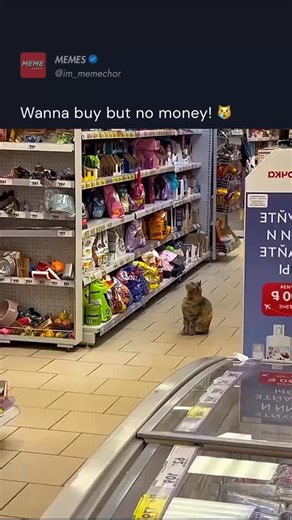 5.3K views · 117 reactions |  decisions, decisions, decisions.... | Meme Sarcasm Comedy | Facebook