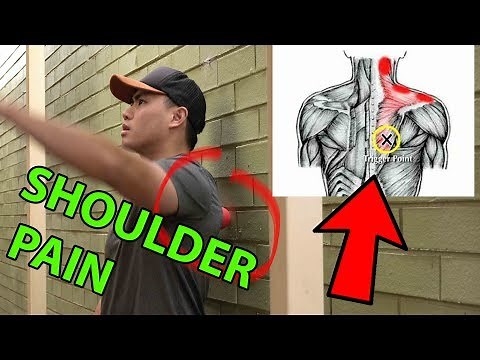 4 TOP Techniques To Fix Back and Shoulder Pain | Muscle Knots Tightness