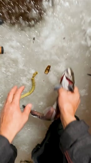 Bend It on Instagram: "Rubber worms"