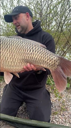 Common Carp #carp #commoncarp #fish #fishingvideo #fishinglife #fishingtips #fishingtip #fishingtips
