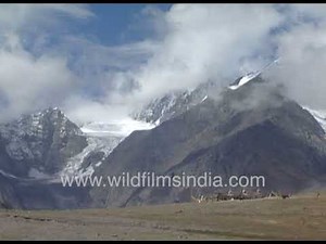 The Cold Desert | Nature’s High-Altitude Masterpiece