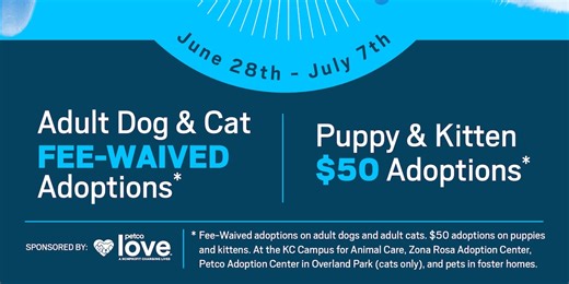 KC Pet Project waives adoption fee during 4th of July